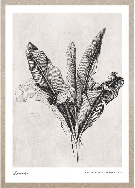 Banana leaves kép