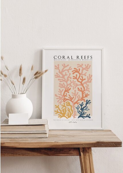 Magic of Coral Reefs kép