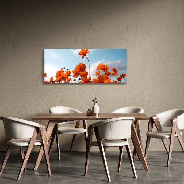 Kép - Réti virágok (120x50 cm)