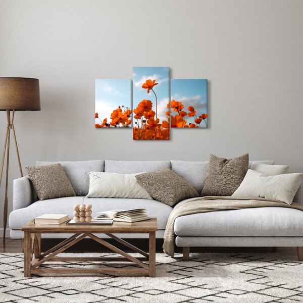 Kép - Réti virágok (90x60 cm)