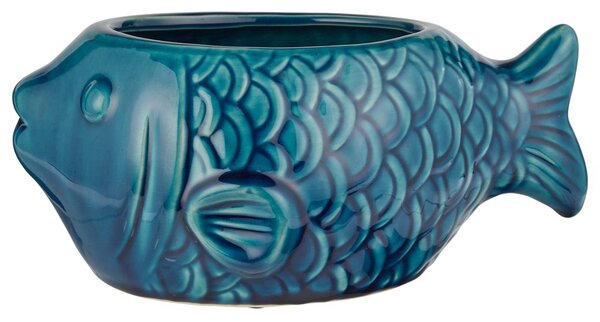 CORAL COAST kaspó hal 25 cm