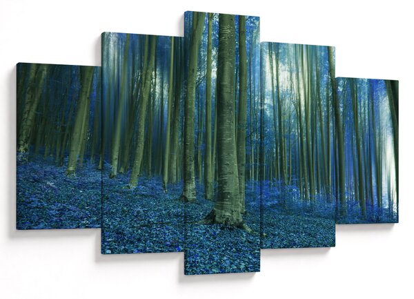Kép - Kék erdő (150x105 cm)