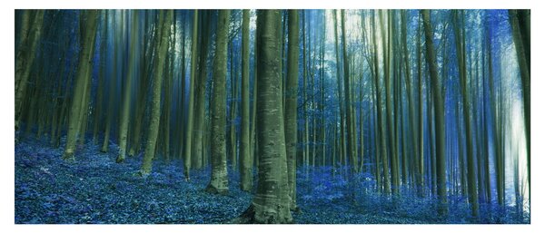 Kép - Kék erdő (120x50 cm)