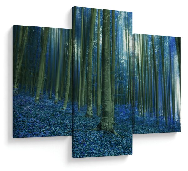 Kép - Kék erdő (90x60 cm)