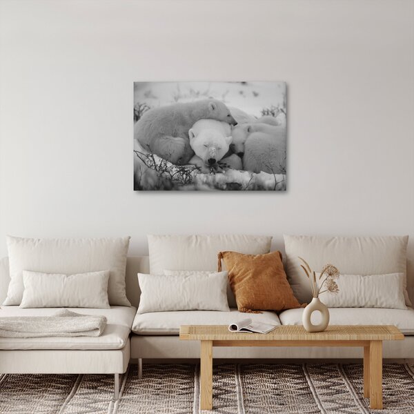 Kép - Jegesmedvék, fekete-fehér (70x50 cm)