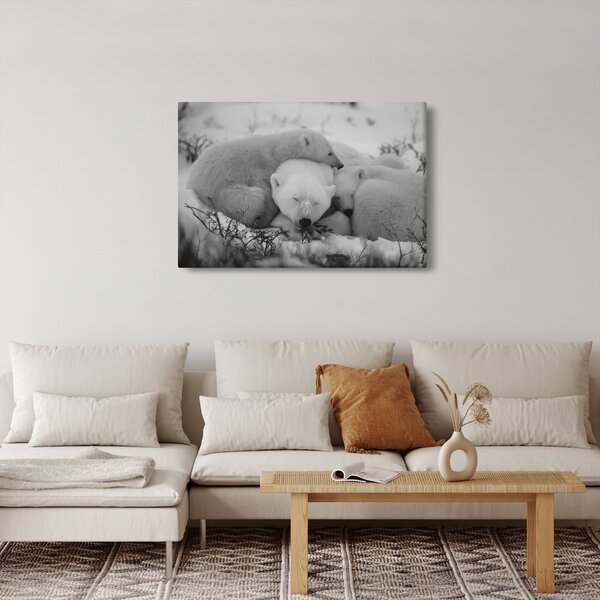 Kép - Jegesmedvék, fekete-fehér (90x60 cm)