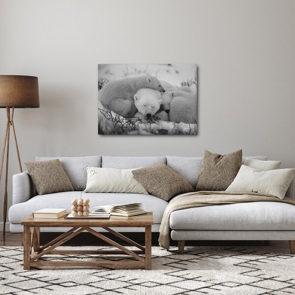 Kép - Jegesmedvék, fekete-fehér (70x50 cm)