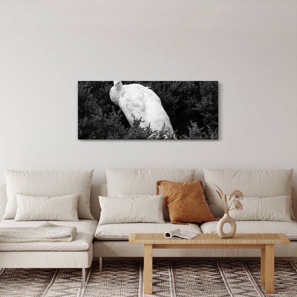 Kép - Páva, fekete-fehér (120x50 cm)
