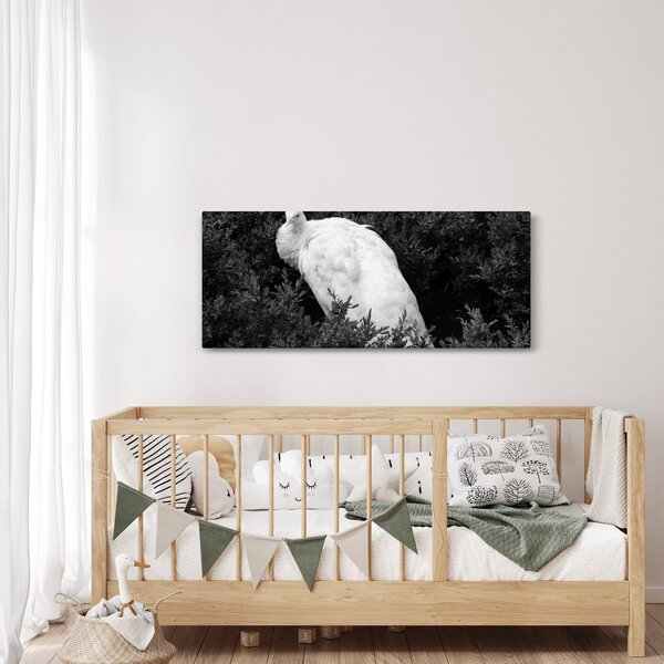 Kép - Páva, fekete-fehér (120x50 cm)