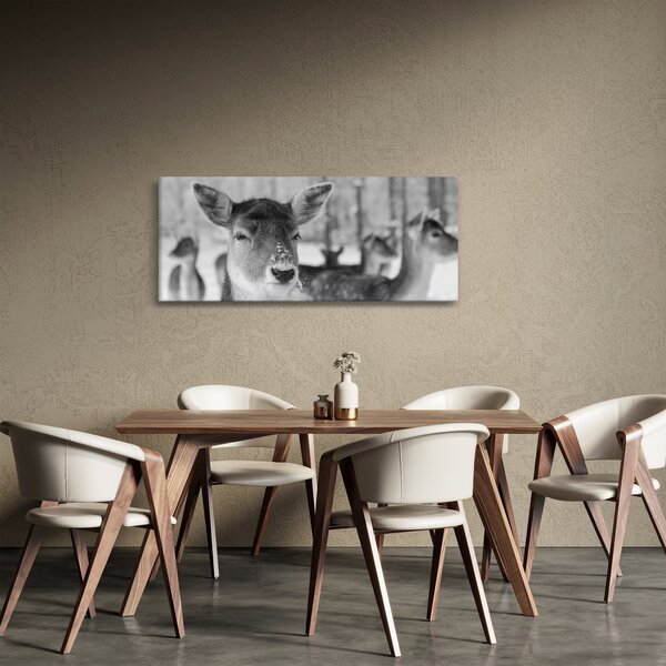 Kép - Szarvas, fekete, fehér (120x50 cm)