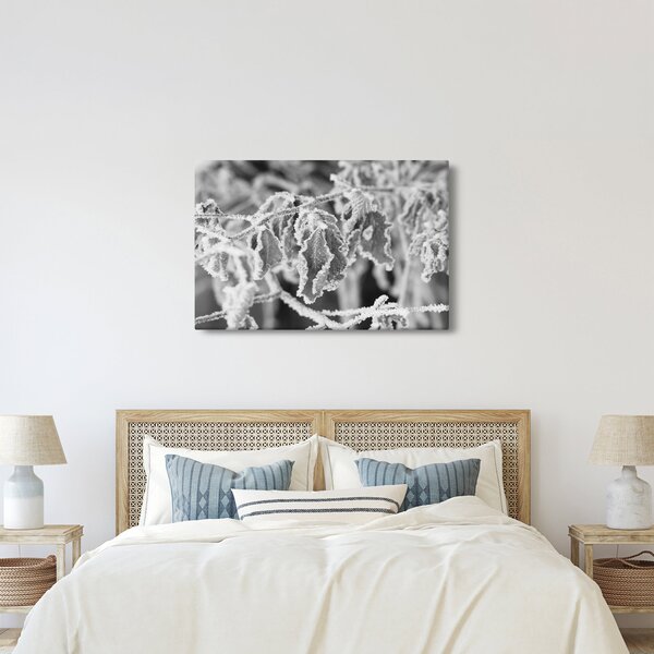 Kép - Fagyott levelek, fekete-fehér (90x60 cm)