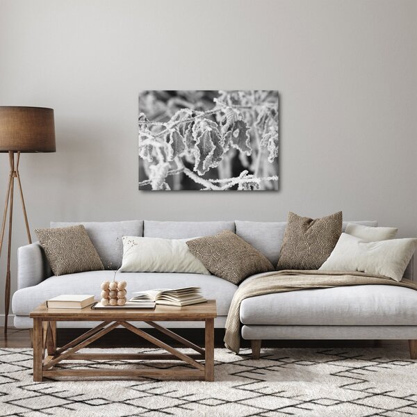 Kép - Fagyott levelek, fekete-fehér (70x50 cm)