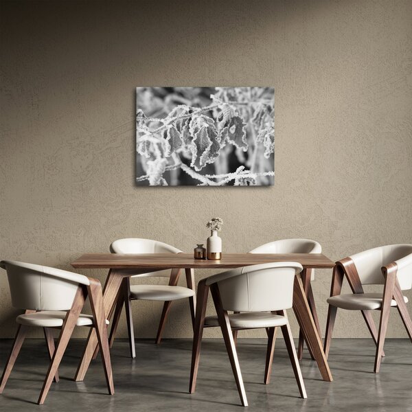 Kép - Fagyott levelek, fekete-fehér (70x50 cm)