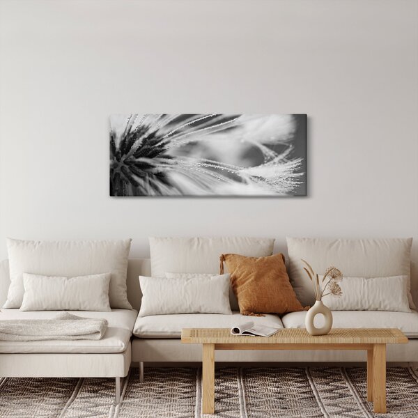 Kép - Makró, fekete-fehér (120x50 cm)