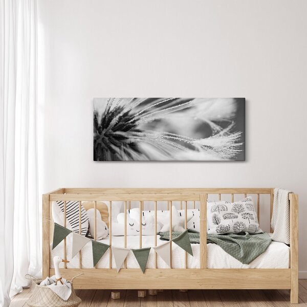 Kép - Makró, fekete-fehér (120x50 cm)