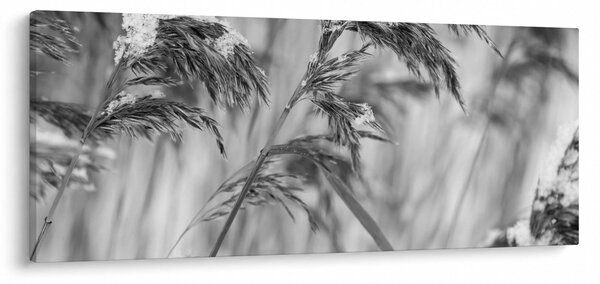 Kép - Lipnica, fekete-fehér (120x50 cm)