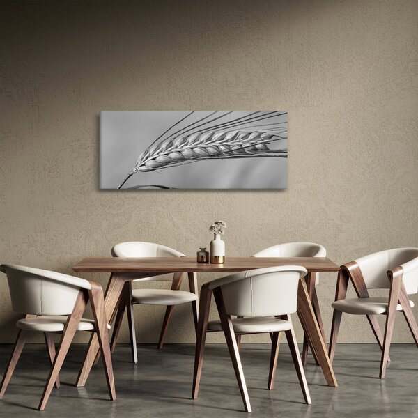 Kép - Búza, fekete-fehér (120x50 cm)