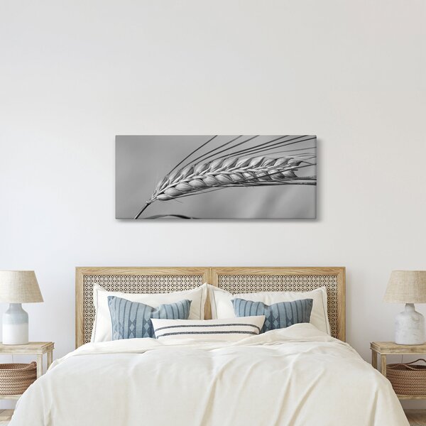 Kép - Búza, fekete-fehér (120x50 cm)