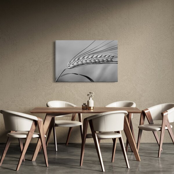Kép - Búza, fekete-fehér (90x60 cm)