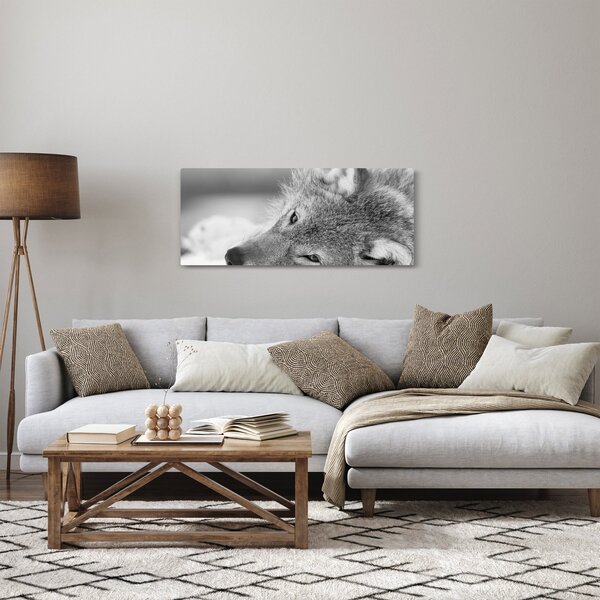 Kép - Farkas, fekete-fehér (120x50 cm)