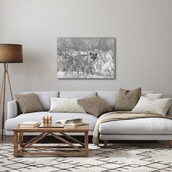 Kép - Róka, fekete, fehér (70x50 cm)