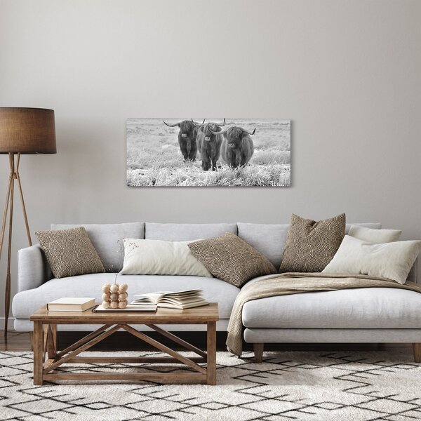Kép - Skót tehenek, fekete-fehér (120x50 cm)