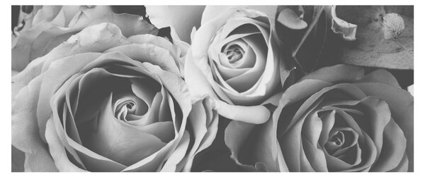 Kép - Rózsa, fekete-fehér (120x50 cm)