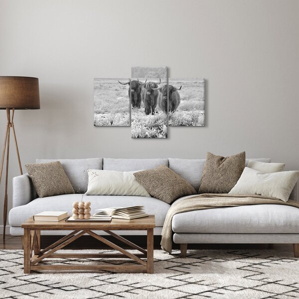Kép - Skót tehenek, fekete-fehér (90x60 cm)