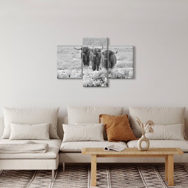 Kép - Skót tehenek, fekete-fehér (90x60 cm)