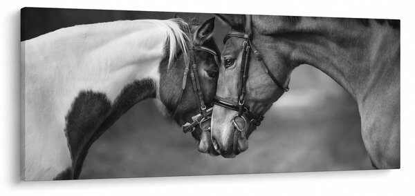 Kép - Szerelmes lovak, fekete-fehér (120x50 cm)