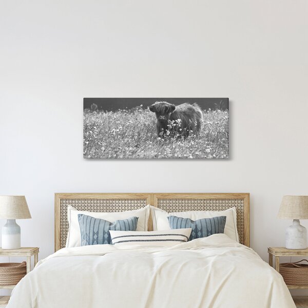 Kép - Skót tehén 5, fekete-fehér (120x50 cm)