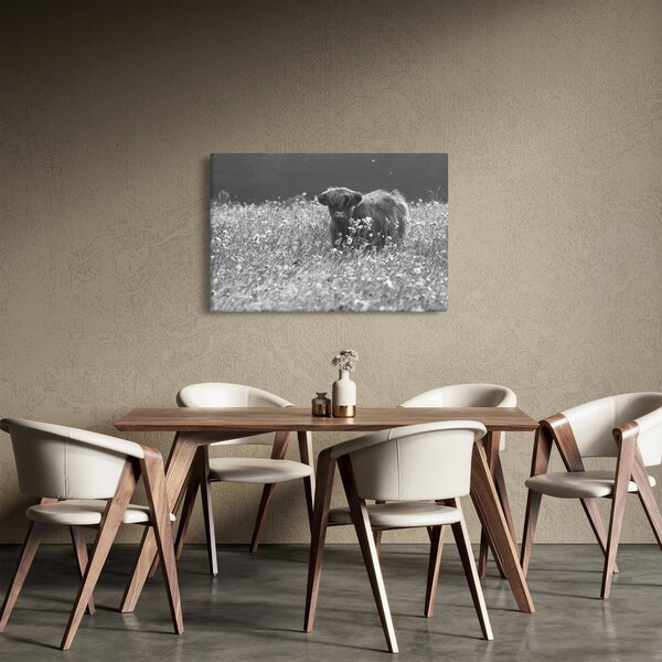 Kép - Skót tehén 5, fekete-fehér (90x60 cm)
