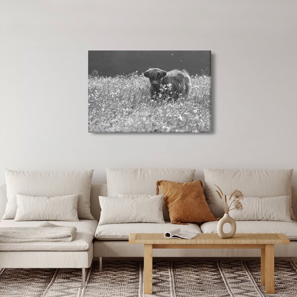 Kép - Skót tehén 5, fekete-fehér (90x60 cm)