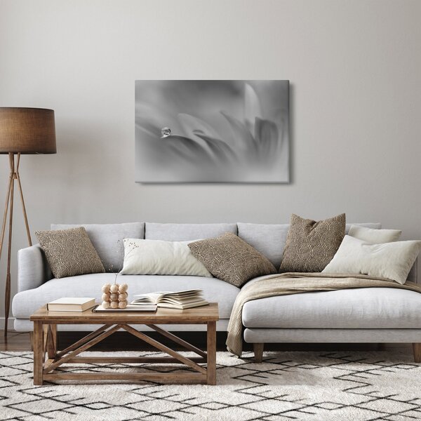 Kép - Csepp a virágon, fekete-fehér (90x60 cm)