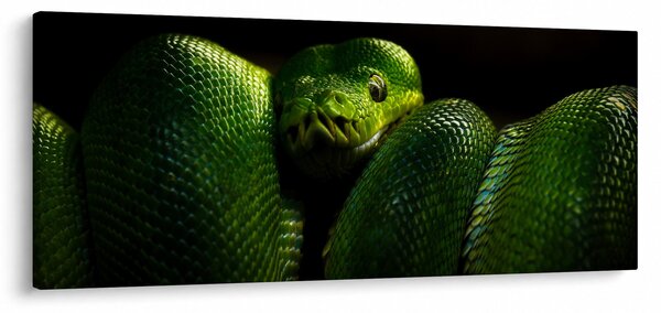 Kép - Zöld kígyó (120x50 cm)