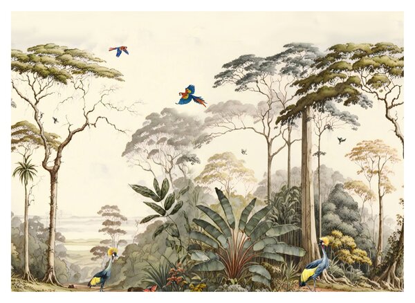 Kép - Amazonas esőerdő (70x50 cm)