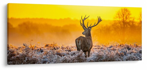 Kép - Szarvas napfelkeltekor (120x50 cm)