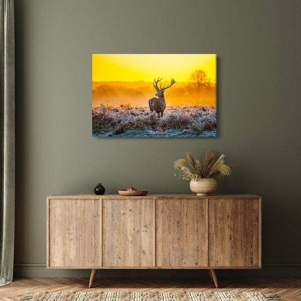 Kép - Szarvas napfelkeltekor (90x60 cm)