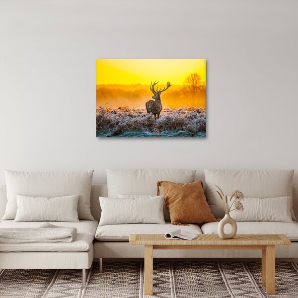 Kép - Szarvas napfelkeltekor (70x50 cm)