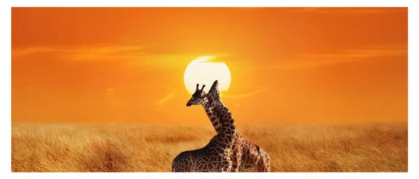 Kép - Zsiráfok a Serengeti Nemzeti Parkban (120x50 cm)