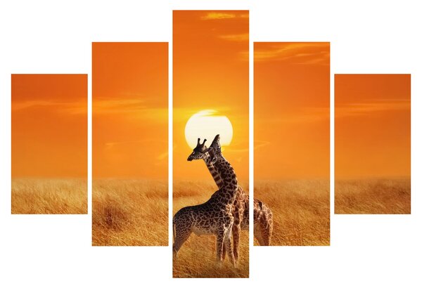 Kép - Zsiráfok a Serengeti Nemzeti Parkban (150x105 cm)