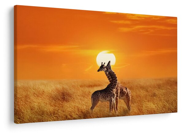 Kép - Zsiráfok a Serengeti Nemzeti Parkban (90x60 cm)