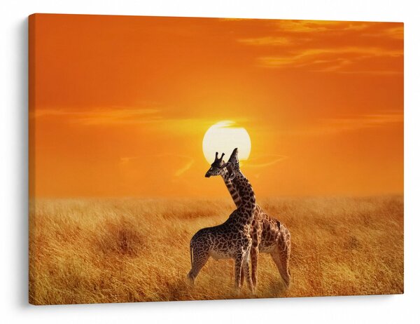 Kép - Zsiráfok a Serengeti Nemzeti Parkban (70x50 cm)