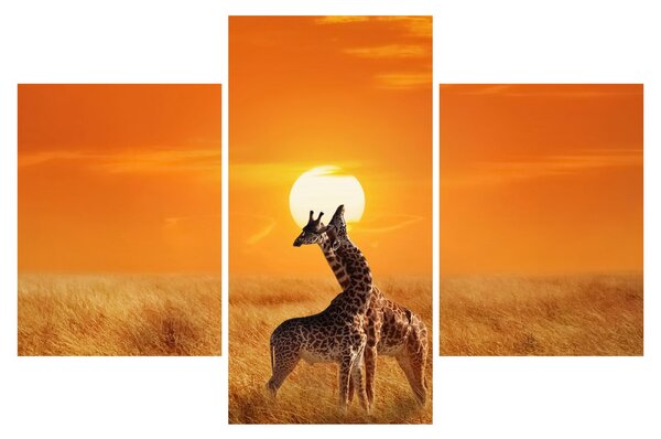 Kép - Zsiráfok a Serengeti Nemzeti Parkban (90x60 cm)