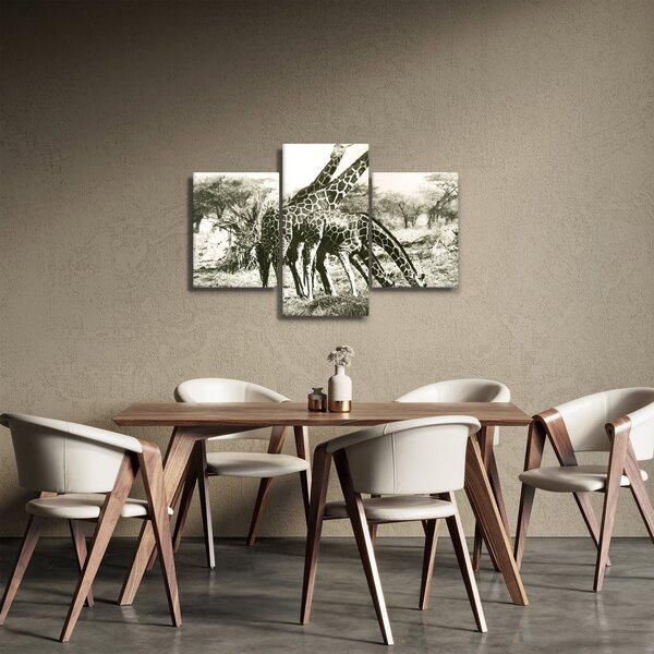 Kép - Zsiráfok, vintage (90x60 cm)