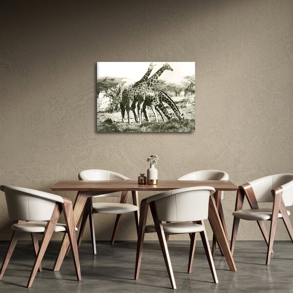 Kép - Zsiráfok, vintage (70x50 cm)