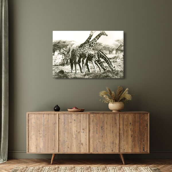 Kép - Zsiráfok, vintage (90x60 cm)