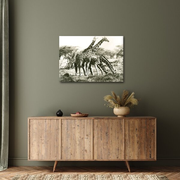 Kép - Zsiráfok, vintage (70x50 cm)