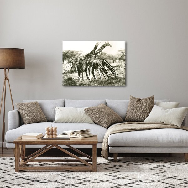 Kép - Zsiráfok, vintage (70x50 cm)
