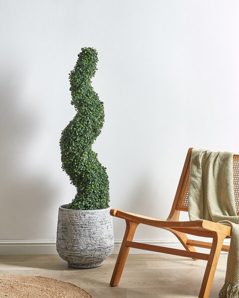 Műnövény BOXWOOD SPIRAL TREE 120 cm Zöld